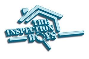 The Inspection Boys